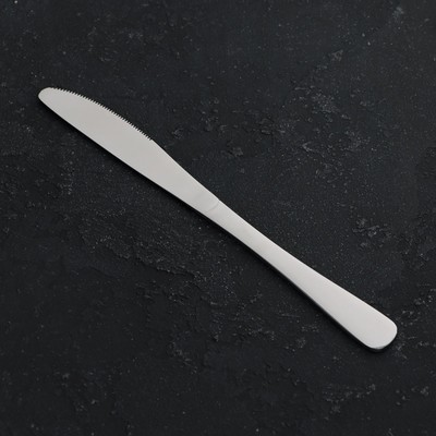 Нож столовый «Классика», длина 22 см, толщина 4 мм, нержавеющая сталь