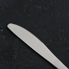 Нож столовый «Классика», длина 22 см, толщина 4 мм, нержавеющая сталь - фото 4486884