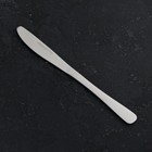 Нож столовый «Классика», длина 22 см, толщина 4 мм, нержавеющая сталь - фото 4486885