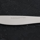 Нож столовый «Классика», длина 22 см, толщина 4 мм, нержавеющая сталь - фото 4486886