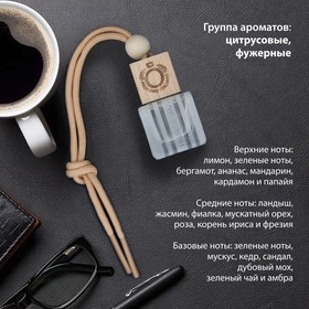 Ароматизатор в машину Primaroma Cube №4, по мотивам CK One, подвесной