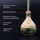 Ароматизатор в машину Primaroma Drop №10, по мотивам Paco Rabanne, подвесной 10024738 - фото 14092493