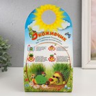 Растущая травка Экоживчик "Счастливчик" МИКС - фото 24637409