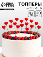 размер: 2,5 × 1,6 × 8,5 см