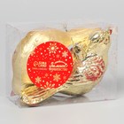 Ёлочные игрушки 2 шт. «Зимнее волшебство. Пташка» пластик, 7×10 см, золото - Фото 2