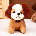 Мягкая игрушка «Собачка», на брелоке, 13 см, цвета МИКС - фото 7514949