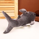 Мягкая игрушка «Акула», 40 см, цвет серый - Фото 3