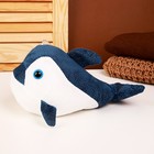 Мягкая игрушка «Акула», 25 см, цвет синий - Фото 2