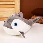 Мягкая игрушка «Акула», 25 см, цвет серый - фото 320113125