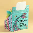 Леденцы в шоубоксе «Чудеса вокруг тебя», хвост, БЕЗ САХАРА, 15 г. х 24 шт. (комплект 24 шт) - фото 22677164