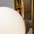 Настенный светильник (бра) Inversion, 2xG9, цвет латунь - Фото 5