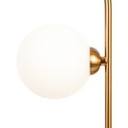 Настольный светильник Inversion, 1xG9, цвет латунь - Фото 2