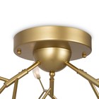 Потолочный светильник Florencia, 27xG4, цвет золото - Фото 3