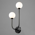 Бра "Андрес" 2хG9 черный 26х42 см - фото 22706508