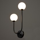 Бра "Андрес" 2хG9 черный 26х42 см - фото 22706509