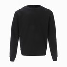 Свитшот мужской, цвет чёрный, размер 50 - Фото 1