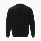 Свитшот мужской, цвет чёрный, размер 50 - Фото 5