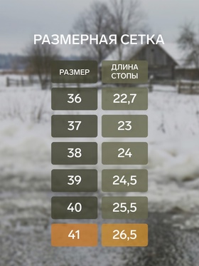 Галоши женские утепленные «Коро» с отворотом, цвет баклажан, размер 41