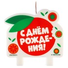 Свеча для торта " С днем рождения", 8 х 8 см, Чебурашка 9852999 - фото 16989304