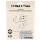 Свеча для торта " С днем рождения", 8 х 8 см, Чебурашка 9852999 - фото 16989306
