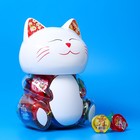 Желе «Кошка» с копилкой, ассорти, 13 г - Фото 2