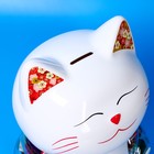 Желе «Кошка» с копилкой, ассорти, 13 г - Фото 4