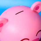 Десерт желейный "Свинка" ассорти, 13 г (комплект 100 шт) - фото 22765498