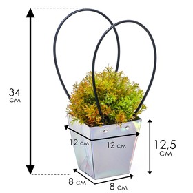 Сумка для цветов «Голографическая», влагостойкая, 12 x 12 - 8 x 8 - 12,5 см