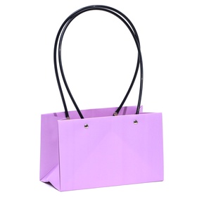 Сумка для цветов «Лиловая», влагостойкая, 22?10.5?13.5 см (комплект 10 шт)