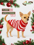 Свитер для собак «Санта», размер XS (ДС 17, ОШ 17, ОГ 23-37 см) - Фото 1