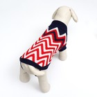 Свитер «Зиг-Заг», S (ДС 23, ОШ 23, ОГ 26-45 см) - Фото 4