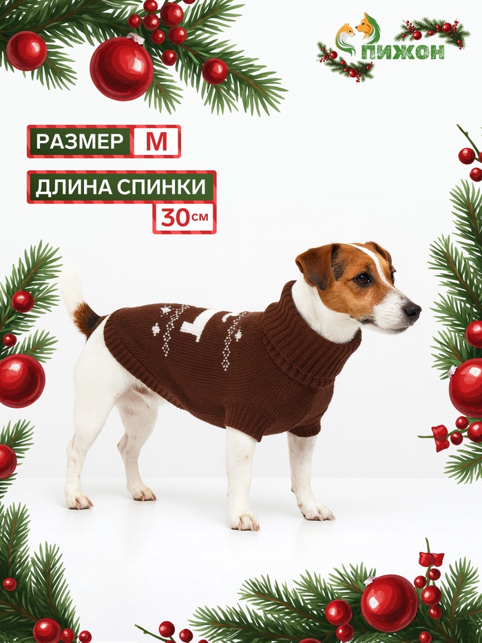 Свитер «Олень», M (ДС 30, ОШ 27, ОГ 40 см), коричневый - Фото 1