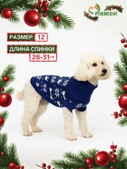 Свитер "Косточки-снежинки", размер 12 (ДС 28-31, ОГ 32-40, ОШ 20-24 см), синий - Фото 1