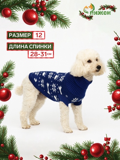 Свитер "Косточки-снежинки", размер 12 (ДС 28-31, ОГ 32-40, ОШ 20-24 см), синий