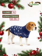 Свитер «Косточки-снежинки», размер 14 (ДС 32-35, ОГ 35-45, ОШ 22-26 см), синий - Фото 1