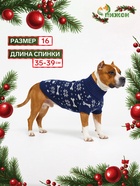 Свитер «Косточки-снежинки», размер 16 (ДС 35-39, ОГ 38-50, ОШ 24-28 см), синий - Фото 1