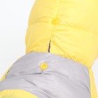 Комбинезон "Анорак" светоотражающий, размер 8 (ДС 19 см, ОГ 30, ОШ 22 см), чёрно-жёлтый - Фото 6