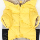 Комбинезон «Анорак» светоотражающий, размер 10 (ДС 25, ОГ 34, ОШ 24 см), чёрно-жёлтый - Фото 12