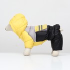 Комбинезон «Анорак» светоотражающий, размер 10 (ДС 25, ОГ 34, ОШ 24 см), чёрно-жёлтый - Фото 3