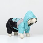 Комбинезон «Анорак» светоотражающий, размер 10 (ДС 25, ОГ 34, ОШ 24 см), чёрно-голубой - Фото 3