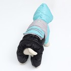 Комбинезон "Анорак" светоотражающий, размер 12 (ДС 28, ОГ 38, ОШ 27 см), чёрно-голубой - Фото 5