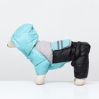 Комбинезон «Анорак» светоотражающий, размер 14 (ДС 32, ОГ 42, ОШ 31 см), чёрно-голубой - Фото 4