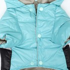 Комбинезон «Анорак» светоотражающий, размер 18 (ДС 40, ОГ 50, ОШ 38 см), чёрно-голубой - Фото 12