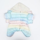 Комбинезон «Для прогулки», размер 10, ДС 21 см, ОГ 34 см, ОШ 24 см, пастельный - Фото 10