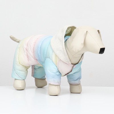 Комбинезон «Для прогулки», размер 14, ДС 28 см, ОГ 42 см, ОШ 31 см, пастельный