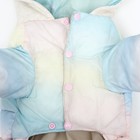 Комбинезон «Для прогулки», размер 14, ДС 28 см, ОГ 42 см, ОШ 31 см, пастельный - Фото 11