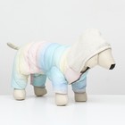 Комбинезон «Для прогулки», размер 14, ДС 28 см, ОГ 42 см, ОШ 31 см, пастельный - Фото 3