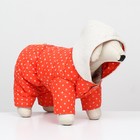 Комбинезон «Для прогулки», размер 14, ДС 28 см, ОГ 42 см, ОШ 31 см, оранжевый - Фото 3