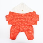 Комбинезон «Для прогулки», размер 14, ДС 28 см, ОГ 42 см, ОШ 31 см, оранжевый - Фото 9