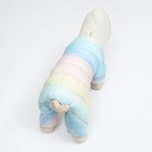 Комбинезон «Для прогулки», размер 16, ДС 36 см, ОГ 46 см, ОШ 35 см, пастельный - Фото 5